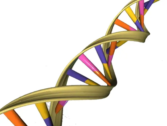 April 25: Happy Birthday, Genetic Engineering! | Daily Philosophy