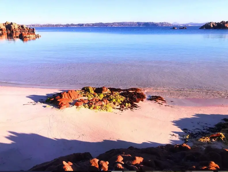 The pink sands of Budelli. Source: Mauro Morandi’s Instagram